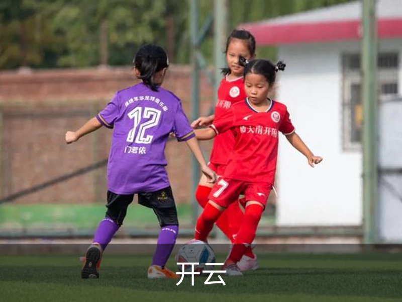 开云·体育 (kaiyun)官方网站_KAIYUN SPORT